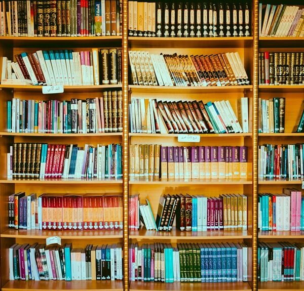 high domain authority links