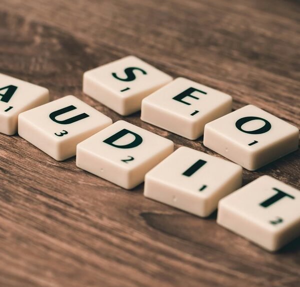 seo audit page authority