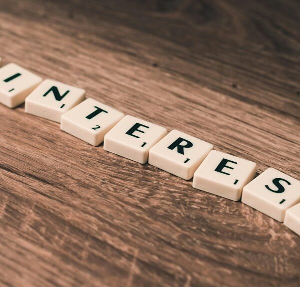 creative online engine platform identifier